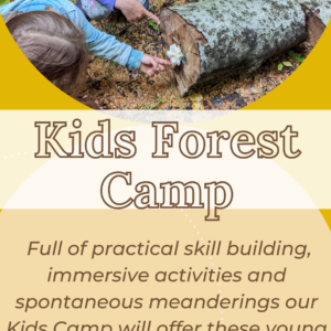 Kids Forest Camp
