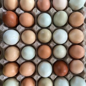 Tier 2 Base Camp Ticket