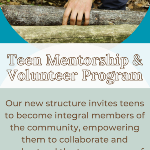 Teen Mentorship Volunteer Program