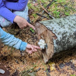 Kids, Youth & Teen Base Camp Ticket