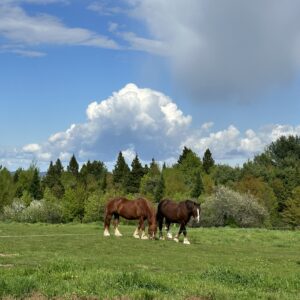 Demonstration Facilitators